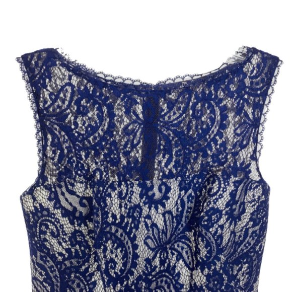 Womens Size XS Tadashi Shoji Blue Corded Lace Spacer Mesh Fit and Flare Dress - Picture 6 of 8